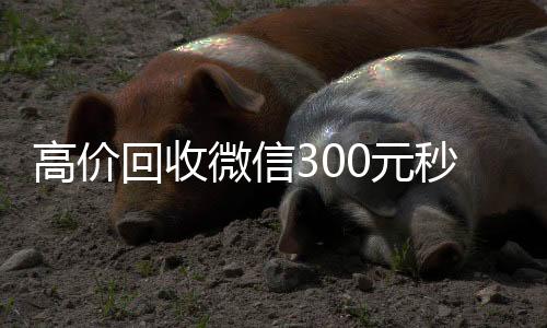 高价回收微信3024小时收微信0元秒结（高价24小时回收微信）